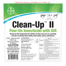 Logo for Clean-Up II