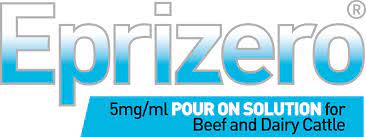 Logo for Eprizero
