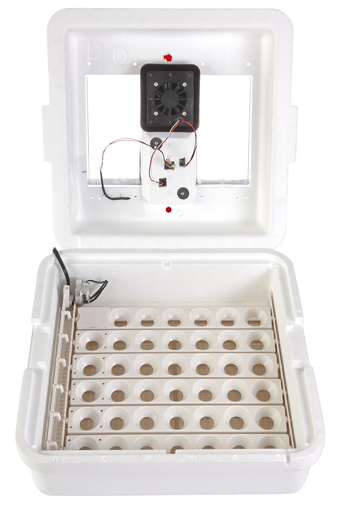 Little Giant 12300 CSA Poultry Incubator