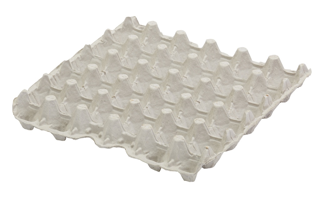 Egg Flats 30 Count 5 x 6 Package of 12