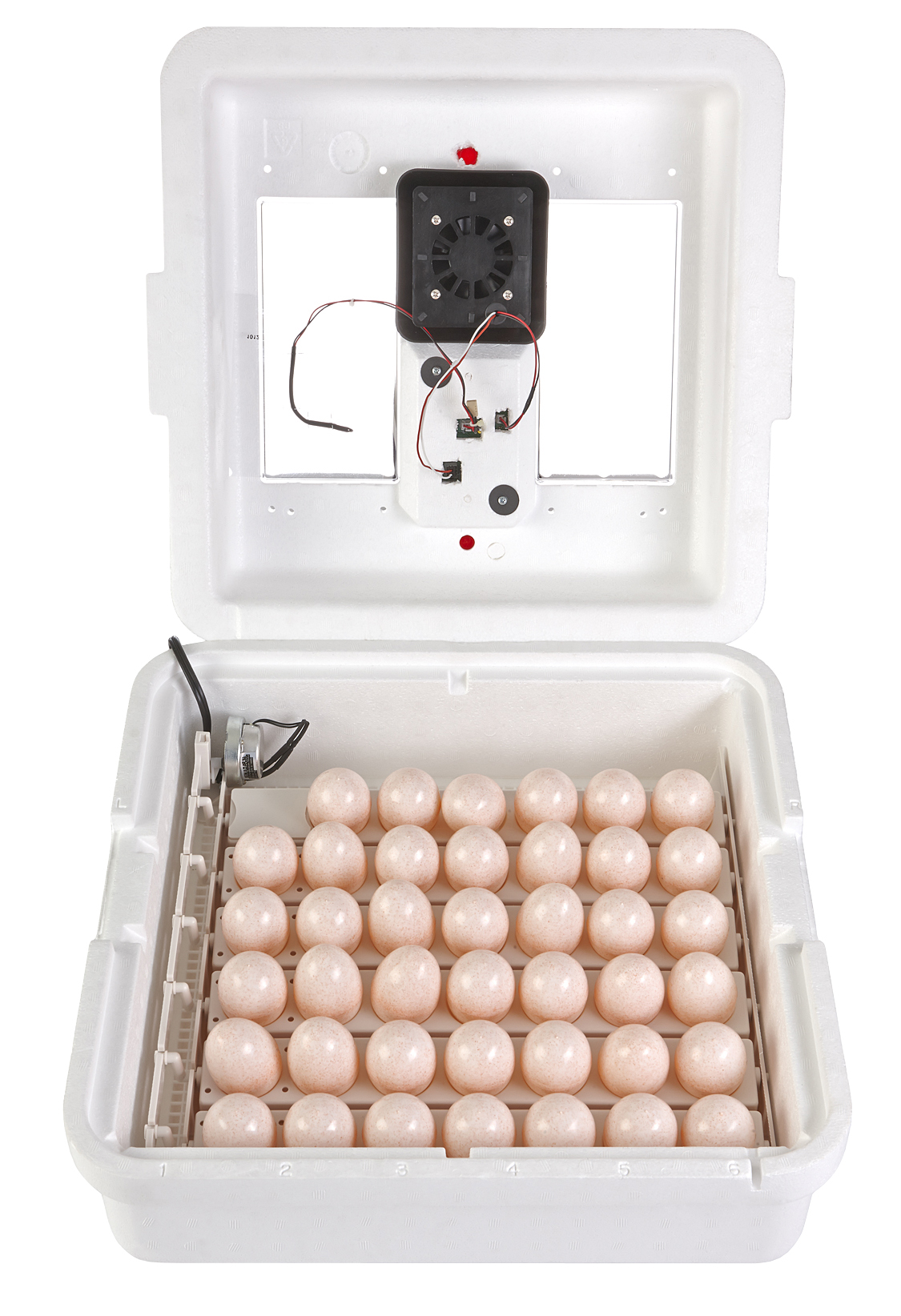 Little Giant 12300 CSA Poultry Incubator