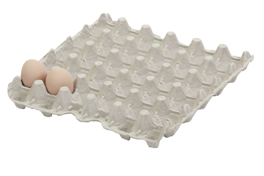 Egg Flats 30 Count 5 x 6 Package of 12