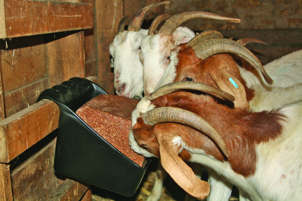 Universal Block Holder and Feeder