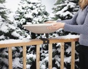 Deck-Mounted Heated Bird Bath