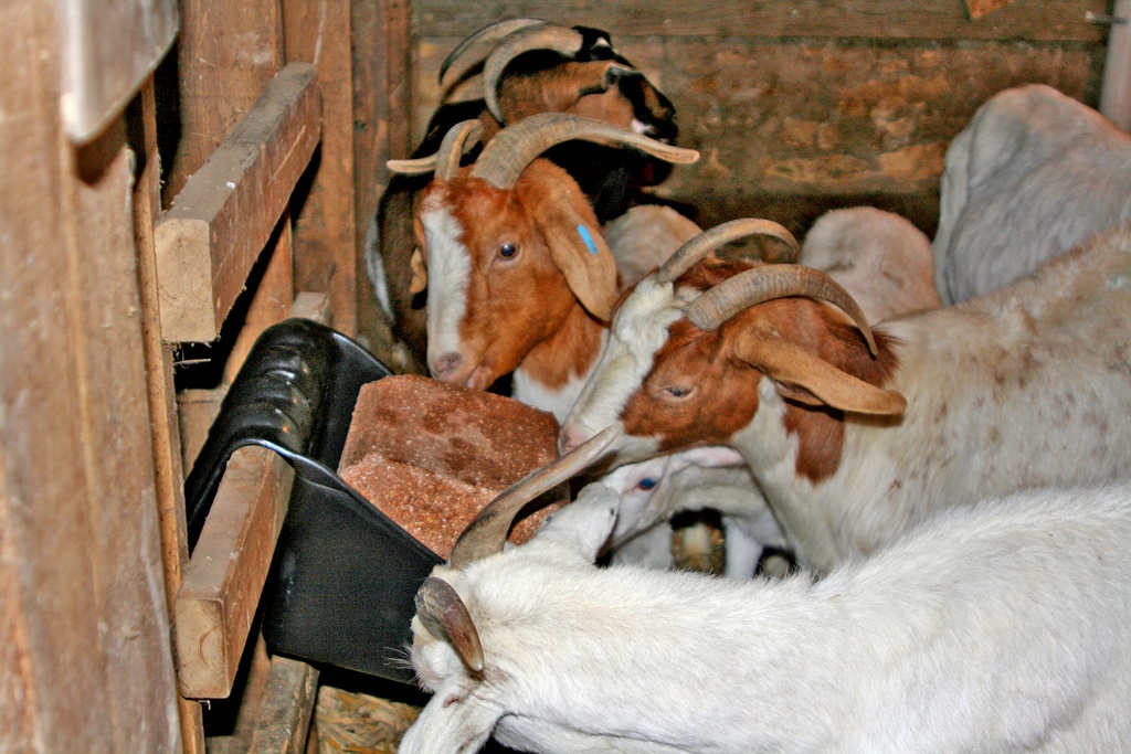 Universal Block Holder and Feeder