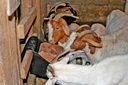 Universal Block Holder and Feeder