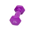 Fabrication CanDo 2 lb Vinyl Coated Cast Iron Dumbbell, Violet