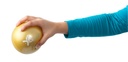 Fabrication CanDo WaTe 2.2 lb Hand-Held Weighted Ball, Yellow