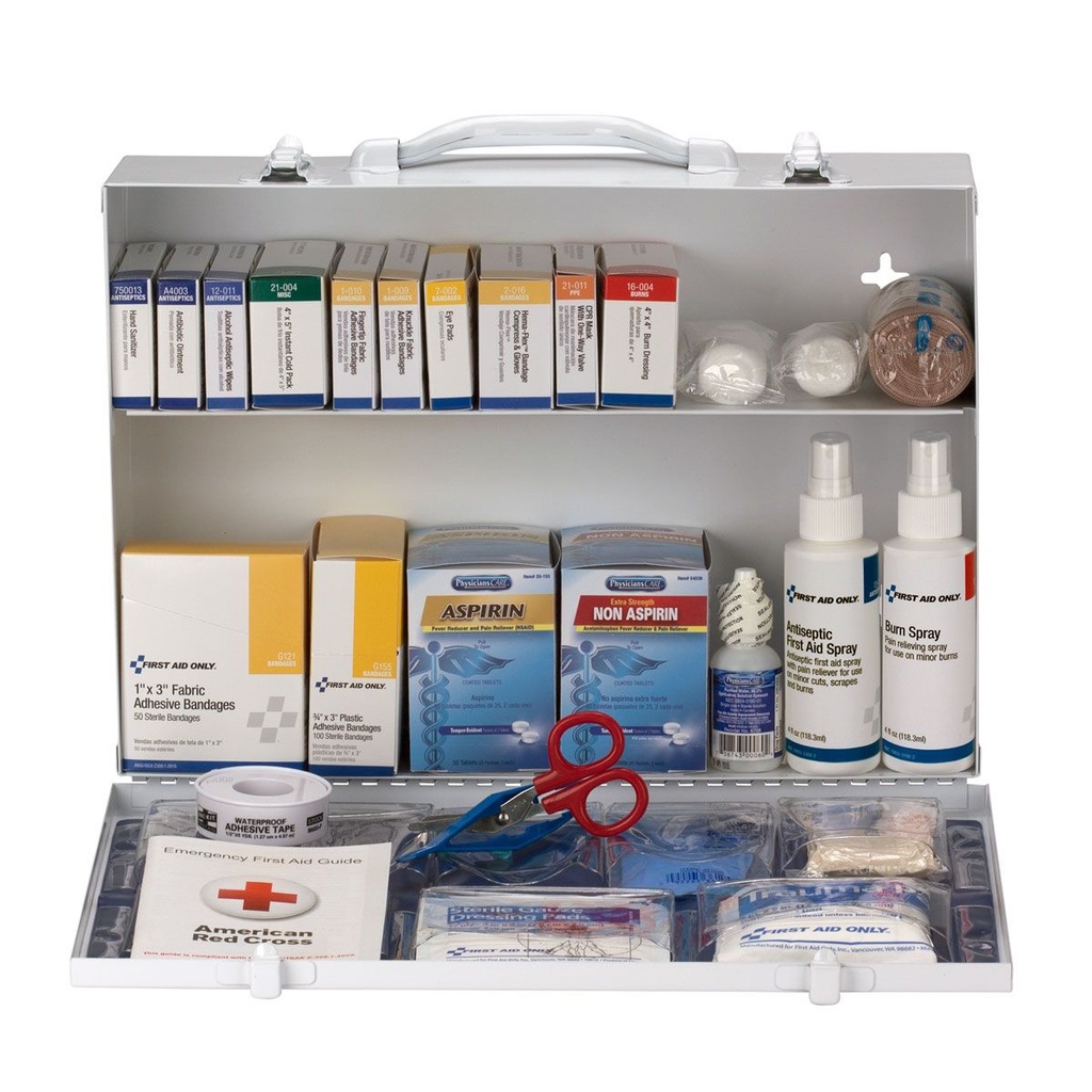 First Aid Only 2 Shelf ANSI Class A+ Metal First Aid Cabinet with Medications