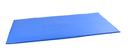 Fabrication Yoga Non Folding Individual Therapy Mat, Polyurethhane, 2 ft x 4 ft, 1"