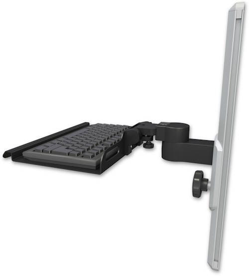 KU12-T19-WB.jpg