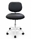 ChatGPT Image Aug 6, 2026, 11_52_46 AM.webp