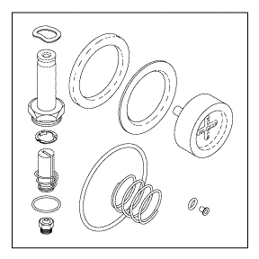 Solenoid Valve Repair Kit For 1" Port Valves