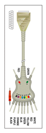 Patient Cable - 10 Lead Fixed Banana