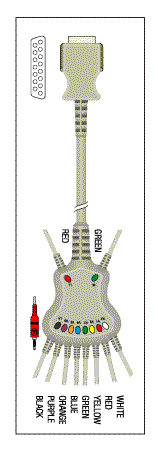 Patient Cable - 10 Lead Fixed Banana