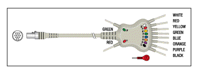 Patient Cable - 10 Lead Fixed Snap