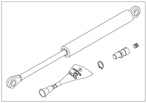 Gas Spring Assembly