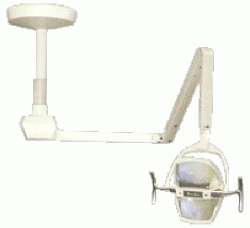 Pelton Crane LF-II Ceiling Mount Light