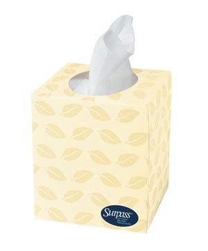 Kimberly-Clark Surpass BOUTIQUE® Facial Tissue, White, 2-Ply, 110 sheets/bx