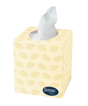 Kimberly-Clark Surpass BOUTIQUE® Facial Tissue, White, 2-Ply, 110 sheets/bx