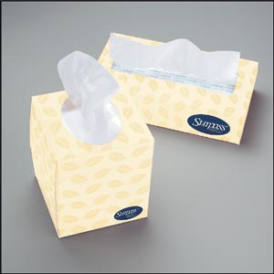 Kimberly-Clark Surpass Facial Tissue, 2-Ply, 100 sheets/bx