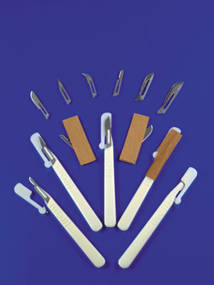Exel Disposable Scalpels, Stainless Steel Blade, Size 22, 10/bx
