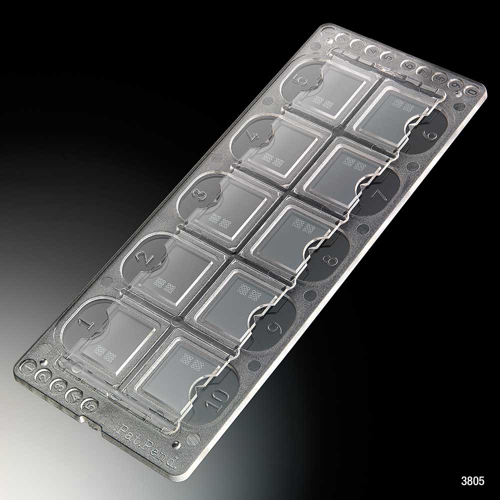 Globe Scientific Quick-Read Precision Cell Urinalysis Slide w/ Counting Circles, Clear, 100 Slides/Box