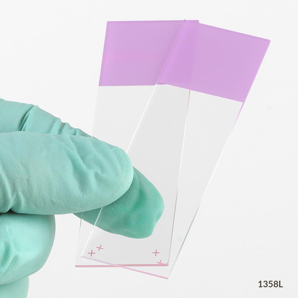Globe Scientific Diamond 25 mm x 75 mm 90° Ground Edge Charged White Glass Microscope Slides, Lilac, 1440/Case