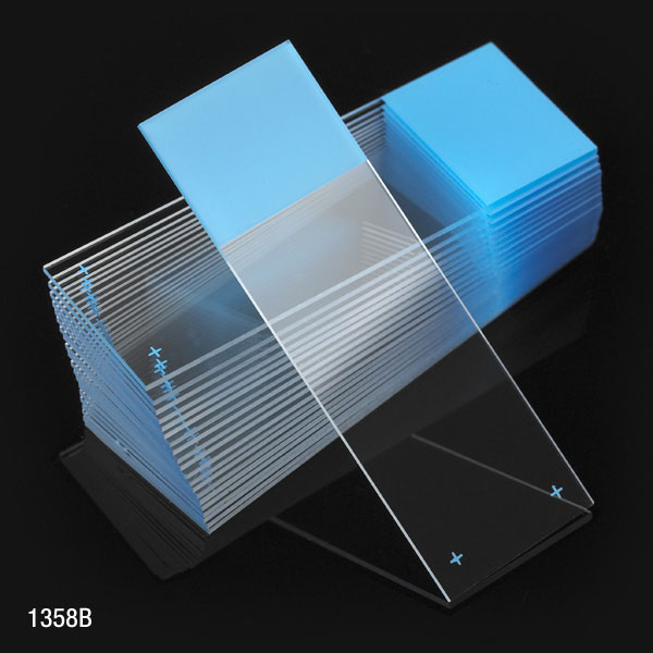 Globe Scientific Diamond 25 mm x 75 mm 90° Ground Edge Charged White Glass Microscope Slides, Blue, 1440/Case