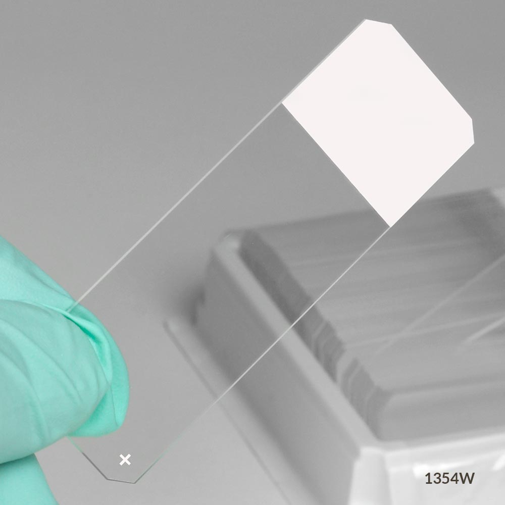 Globe Scientific Diamond 25 mm x 75 mm 45° Beveled Edge Charged White Glass Microscope Slides, White, 1440/Case