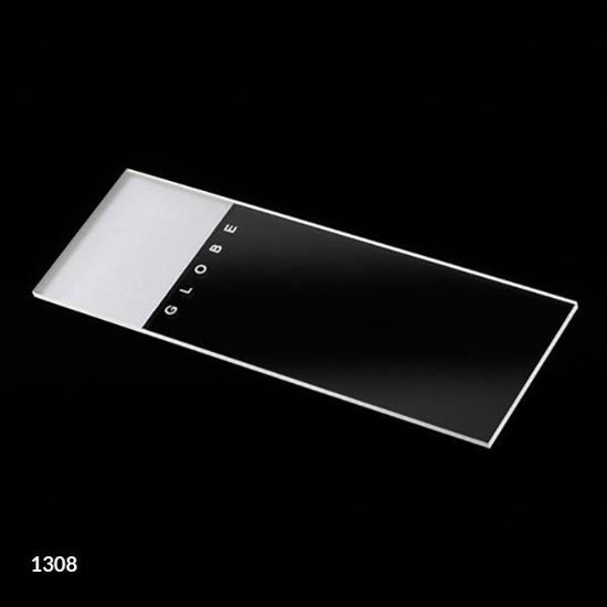 Globe Scientific Frosted Glass 1 End & 2 Sides Microscope Slides, 1440/Case