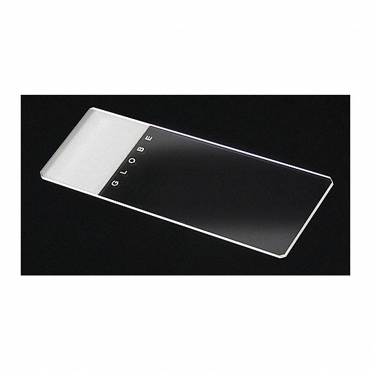 Globe Scientific Frosted Glass 1 End & 1 Side Clipped Corners Microscope Slides, 1440/Case
