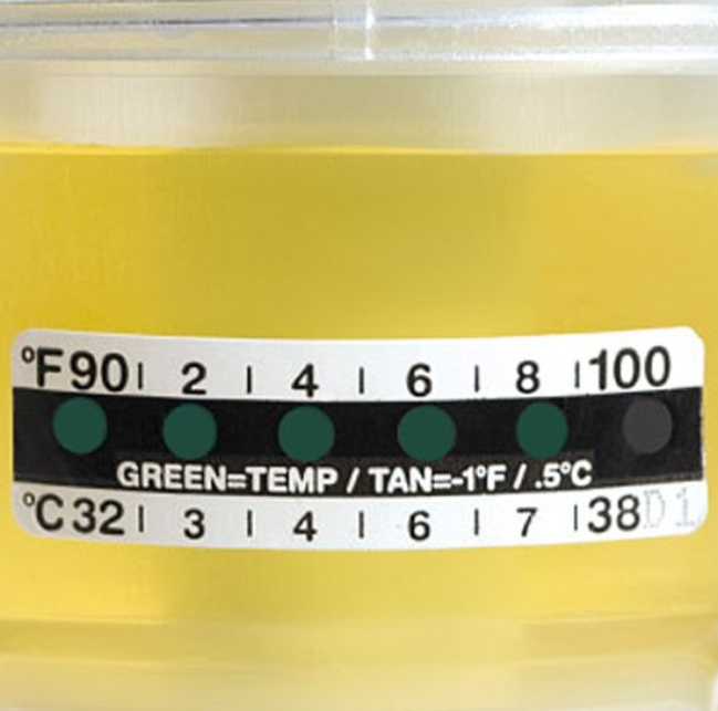 Globe Scientific Liquid Crystal Thermometer Strip