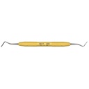 PDT Periotomes Posterior Periotome R258