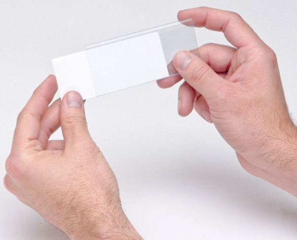 Quantum Ultra Series Label Holders, X-Large Clear, Laser Label Inserts, 25/ctn