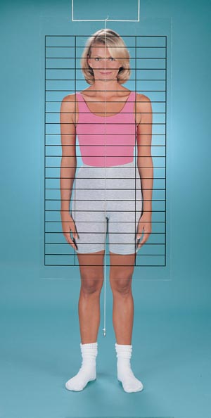 Fabrication Chiropractic, Baseline Posture Grid
