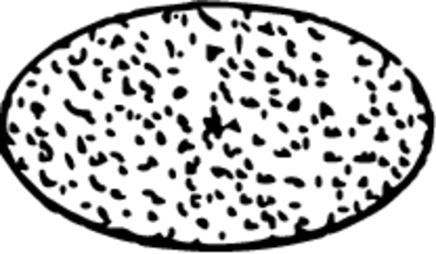 Door Insulator Pad for Midmark® - Ritter - Fits Models: M9, M9D