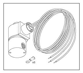 Solenoid Valve (Purge)