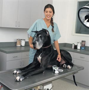 Welch Allyn Suretemp® Plus690 Electr Thermtr, Rectal Probe& Well, 2-Yr Lim Wrr, 99801