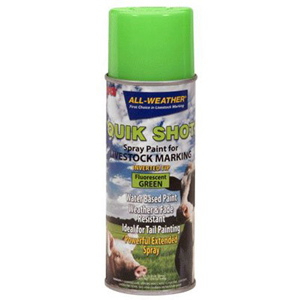 All-Weather Quik Shot Livestock Marker (Inverted Tip) - 12 oz, Fluorescent Green