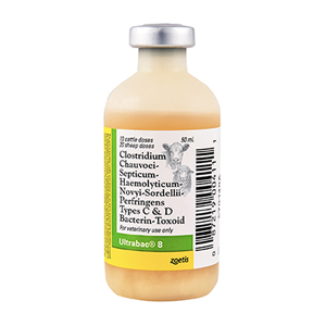 Ultrabac 8 10 Dose - 50 mL (Keep Refrigerated)