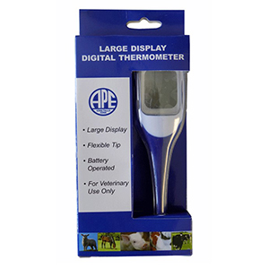 Large Display Digital Thermometer