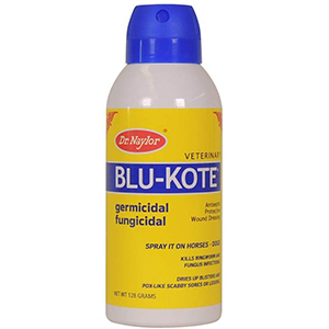 Blu-Kote Pump Spray - 4 oz