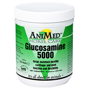 Glucosamine 5000 Powder - 16 oz