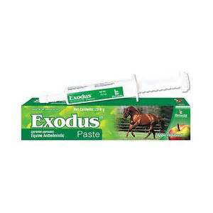 Exodus Paste - 23.6 g