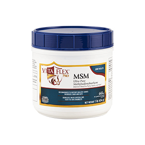 Vita Flex MSM 45 Day Supply - 1 lb