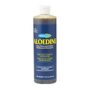 Aloedine Aloe Vera & Iodine Medicated Shampoo - 16 oz