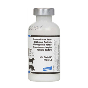 Vib Shield + L5 10 Dose - 50 mL (Keep Refrigerated)