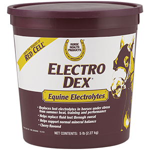 Electro Dex Equine Electrolytes - 5 lb