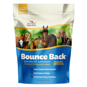 Manna Pro Bounce Back Supplement - 4 lb